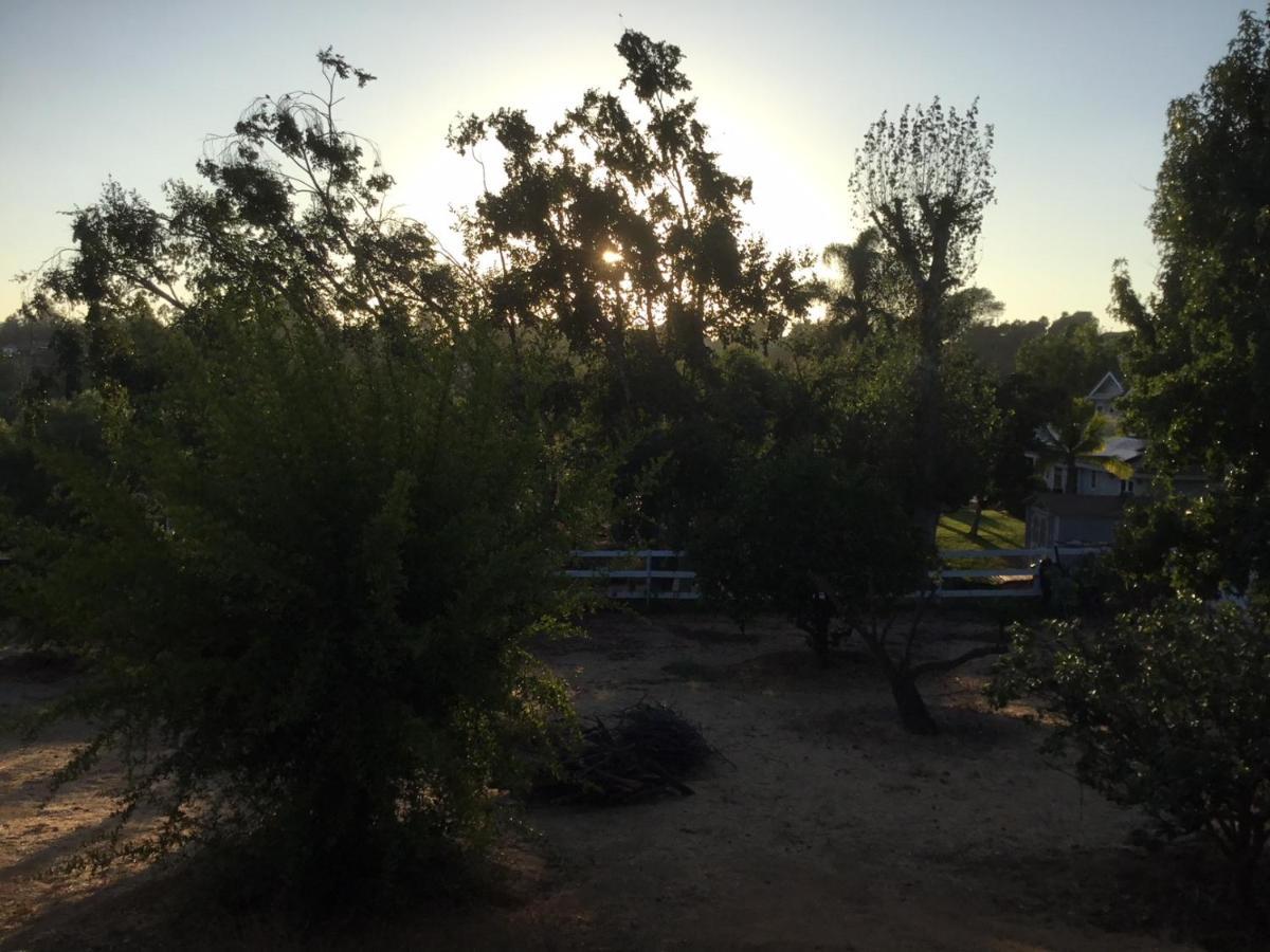 Beautiful New Detached Casita Nestled In Scenic Southern Ca Foothills! Fallbrook Kültér fotó