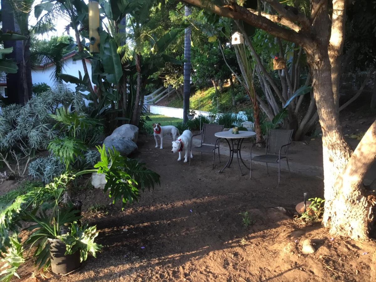 Beautiful New Detached Casita Nestled In Scenic Southern Ca Foothills! Fallbrook Kültér fotó