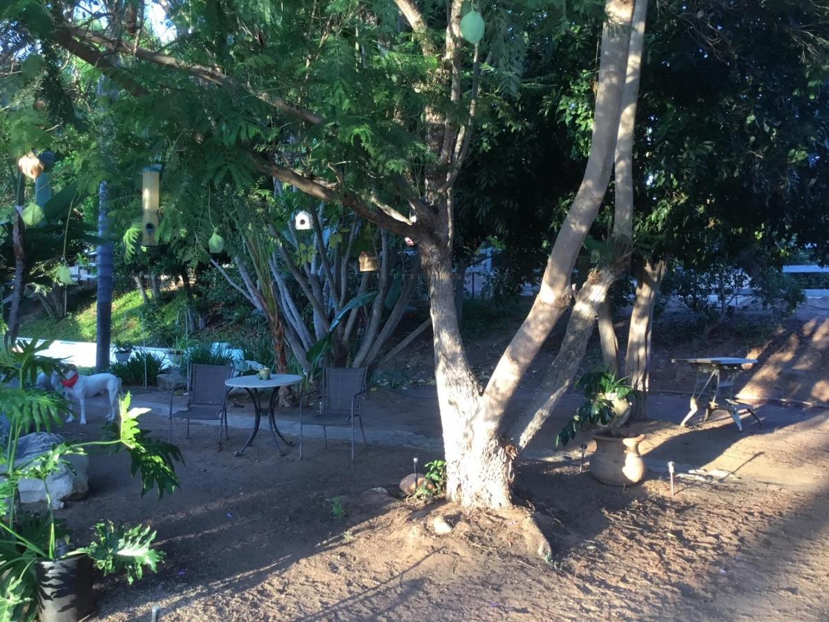 Beautiful New Detached Casita Nestled In Scenic Southern Ca Foothills! Fallbrook Kültér fotó